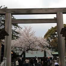 伊勢山皇大神宮