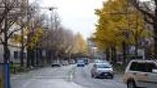 横浜を代表するおしゃれな通りです。