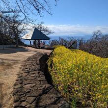 吾妻山公園 / Azuma-yama Park