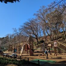 吾妻山公園 / Azuma-yama Park
