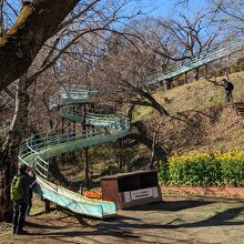 吾妻山公園 / Azuma-yama Park