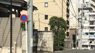 体力強化にもってこい