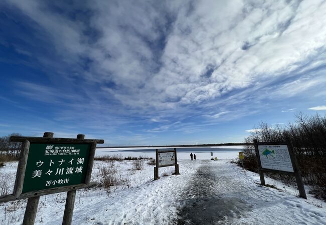 渡り鳥の中継地