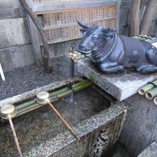 牛から出てくる