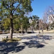 中野四季の森公園