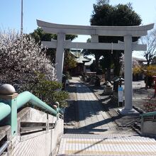 天満宮の鳥居