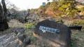 2月初旬の梅園は未だ一分咲き！