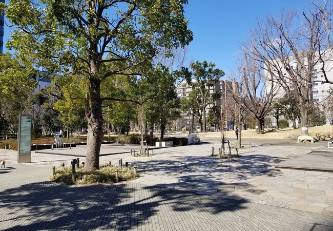 中野四季の森公園