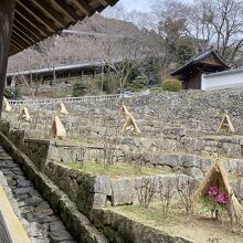 登廊からの眺め