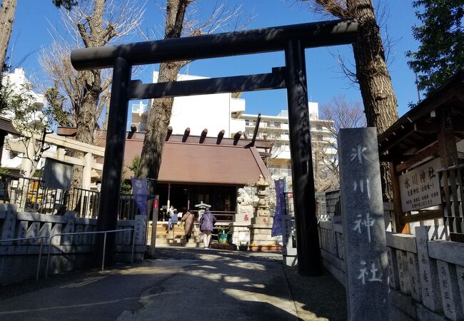 氷川神社