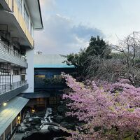 お部屋からの眺め