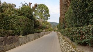 薩摩らしい個性的な武家屋敷庭園