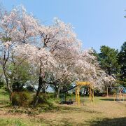 菊川駅近くの高台にある公園