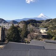 韮山反射炉（静岡県伊豆の国）ー富士山の眺めー茶畑越しの眺め：世界遺産外観だけで