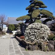 松応寺