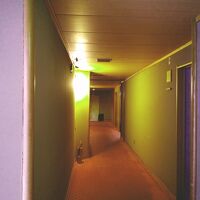 室内はやや古いが、清潔な純和風旅館。