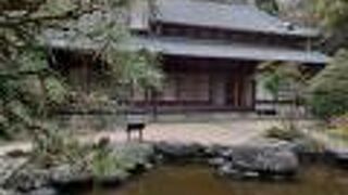 柿田川ドライブインガーデン 泉の館 