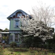 山手資料館の庭の桜が満開
