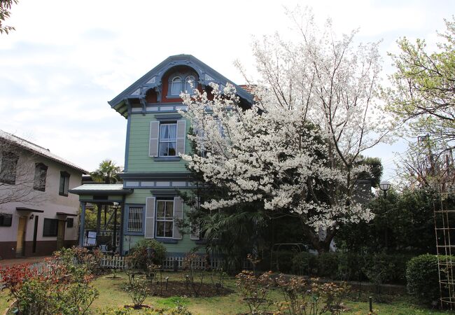 山手資料館の庭の桜が満開