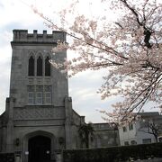 元町公園の桜と競演