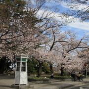 洋館が立ち並んでいます