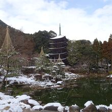 1月の大雪時の瑠璃光寺五重塔