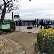 頂上付近は自然公園。ギンヨウアカシアや河津桜の花が満開、雄大な景色を満喫　