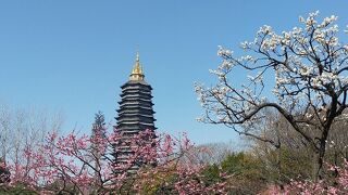 紅梅公園