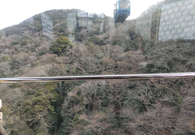 下田湾の絶景と四季折々の花が楽しめる　