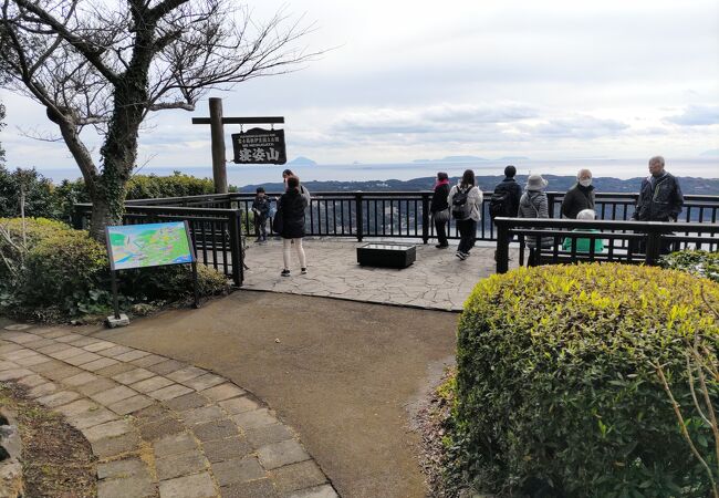 頂上付近は自然公園。ギンヨウアカシアや河津桜の花が満開、雄大な景色を満喫　