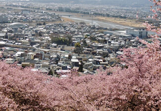 二宮尊徳が松を植えた川