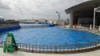 おきちゃん劇場のお隣にあるイルカが泳いでいる大きな水槽です。