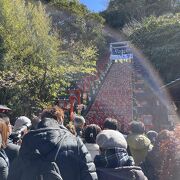 4年ぶりの勝浦ひな祭り