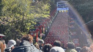 4年ぶりの勝浦ひな祭り