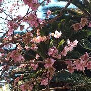 神の道で繋がる神社