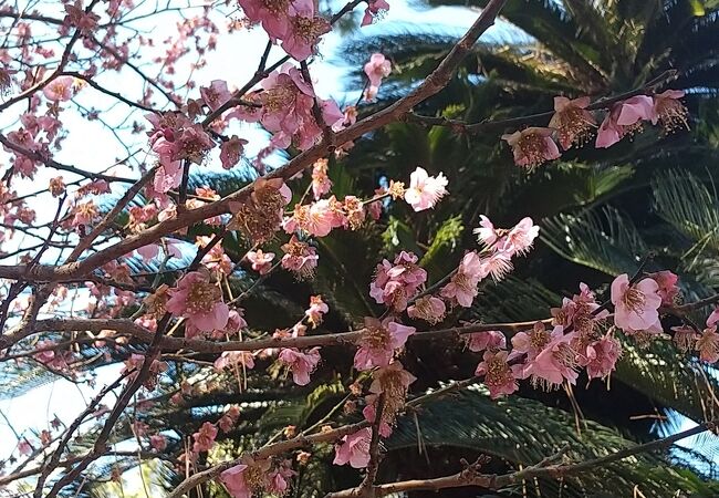 神の道で繋がる神社