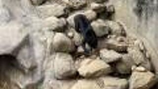 新竹市立動物園