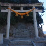 天然記念物もある神社