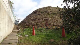 大変でした‼　何とか写真を撮りました。