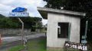 波が高かったです