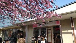 ホームと駅舎内は河津桜まつりで大混雑　