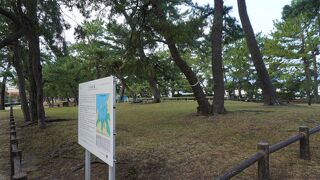 元寇防塁（向浜地区）