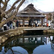 澄み切った水の忍野八海