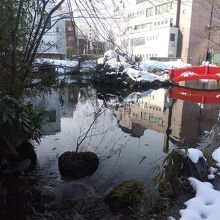 湧き水の池