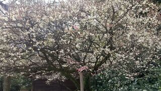 感動続きの熱田さん