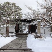 雪の十牛之庭も乙なもの