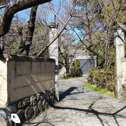 桜の参道が特徴的な寺院