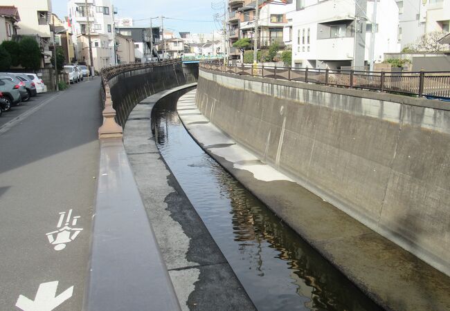 本門寺周辺の緑道は草木が少なかったです