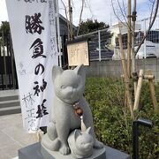 社を狛猫が守っています