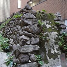 元寇防塁遺跡 (西南学院大学 第1号館ライトコート)　